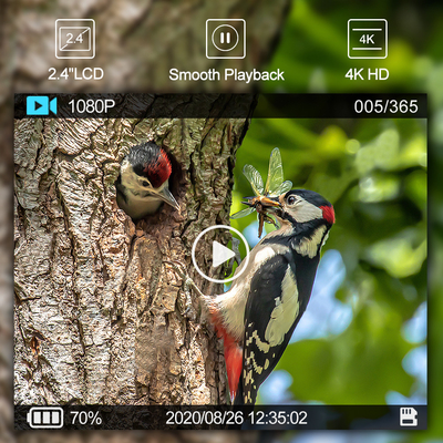 WIFI Outdoor Hunting Trail-camera met weergavescherm Mobiele app