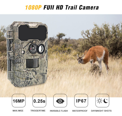 IP67 Camouflage No Glow Infrarood Fast Trigger Deer Hunting Trail Camera