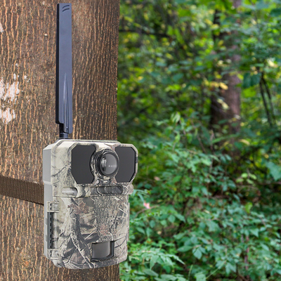 Outdoor Trail Camera Game Trap Infrarood Jachtcamera Wildlife Natuur Videocamera