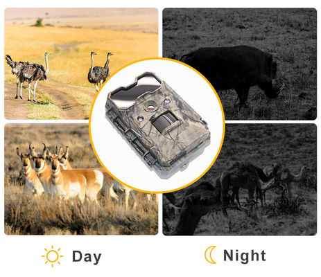 Beweging geactiveerde wildlife camera