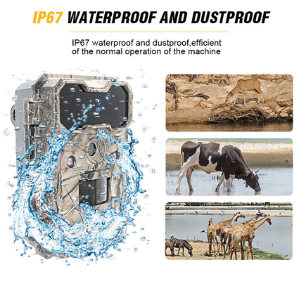 Infrarood HD-jachtcamera's Waterdichte 4G Wildlife Scouting-camera