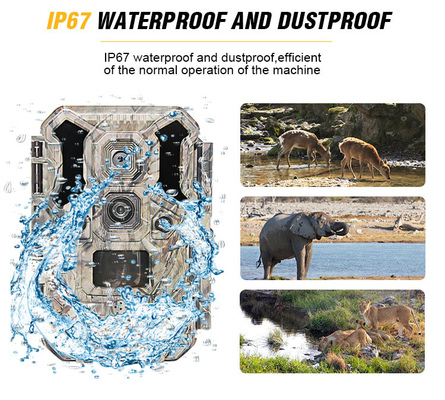 IP67 de openlucht van de het wildcamera van de de jachtcamera Infrarode van de de Nachtvisie Herten 30MP Programmable