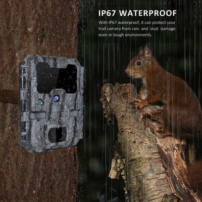 KW865 WIFI verborgen camera voor outdoor draadloze jachtcamera Trail-camera die foto's naar uw telefoon stuurt