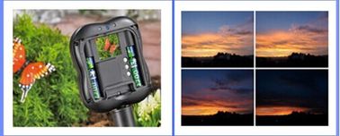1.3M Pixels Wildlife Garden de Steun SDHC MMC van het Cameratime lapse