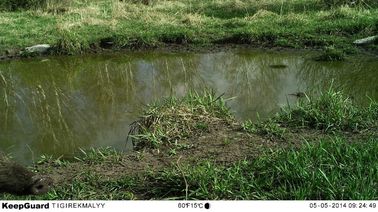 Het verkennen van Sleep Digitaal Infrarood de Jachtcamera/Hunter Cameras in Camouflage