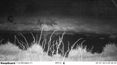Het verkennen van Sleep Digitaal Infrarood de Jachtcamera/Hunter Cameras in Camouflage