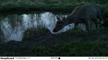 Kleine dag en nacht Infrarode van het de Sleepspel van de het Wildcamera de Camera'sweee Goedkeuring