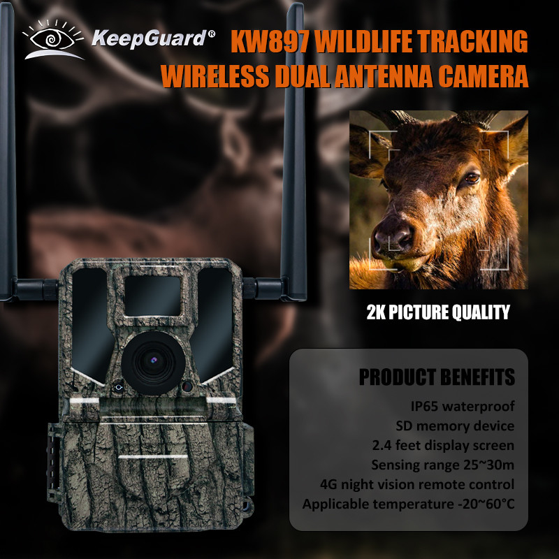 4G draadloze trailcamera verborgen camouflage KW897 met dubbele antennes nachtzicht 36MP 2K video voor hertenjacht