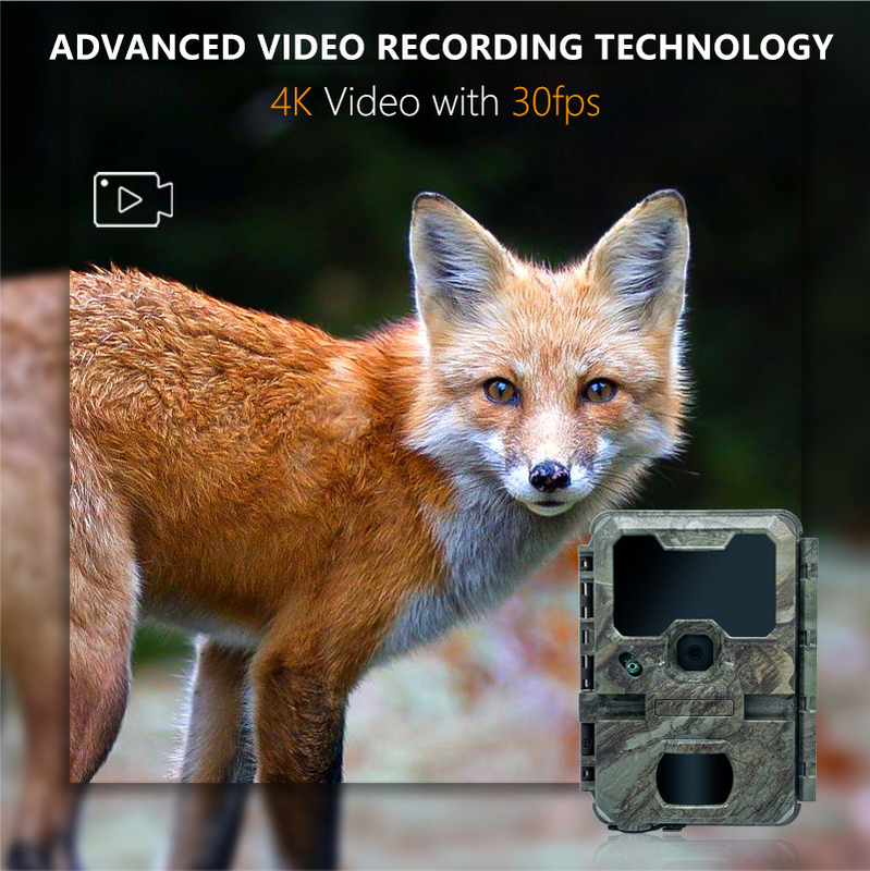 Nachtvisie Jachtcamera met kleine grootte KW788 0.1s trigger 32MP scherp beeld 4K video waterdicht IP67 voor de jacht