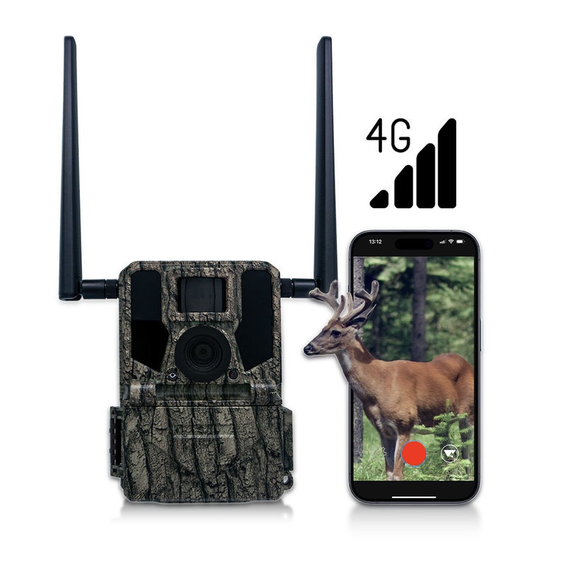 Jacht- en trailcamera's Zonnepaneel 4G Draadloze camera KW897 met dubbele antennes 100ft Nachtbereik 36MP 2K Video bij 30fps