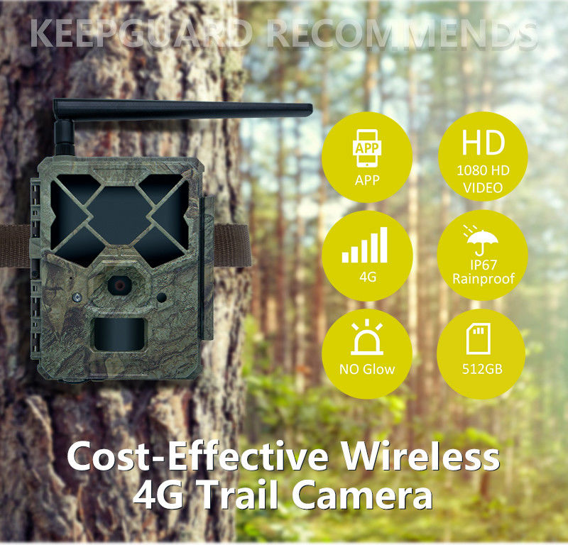 Ervaar Ongeëvenaarde Prestaties met 4G Wildcamera De Perfecte Oplossing voor Wildmonitoring